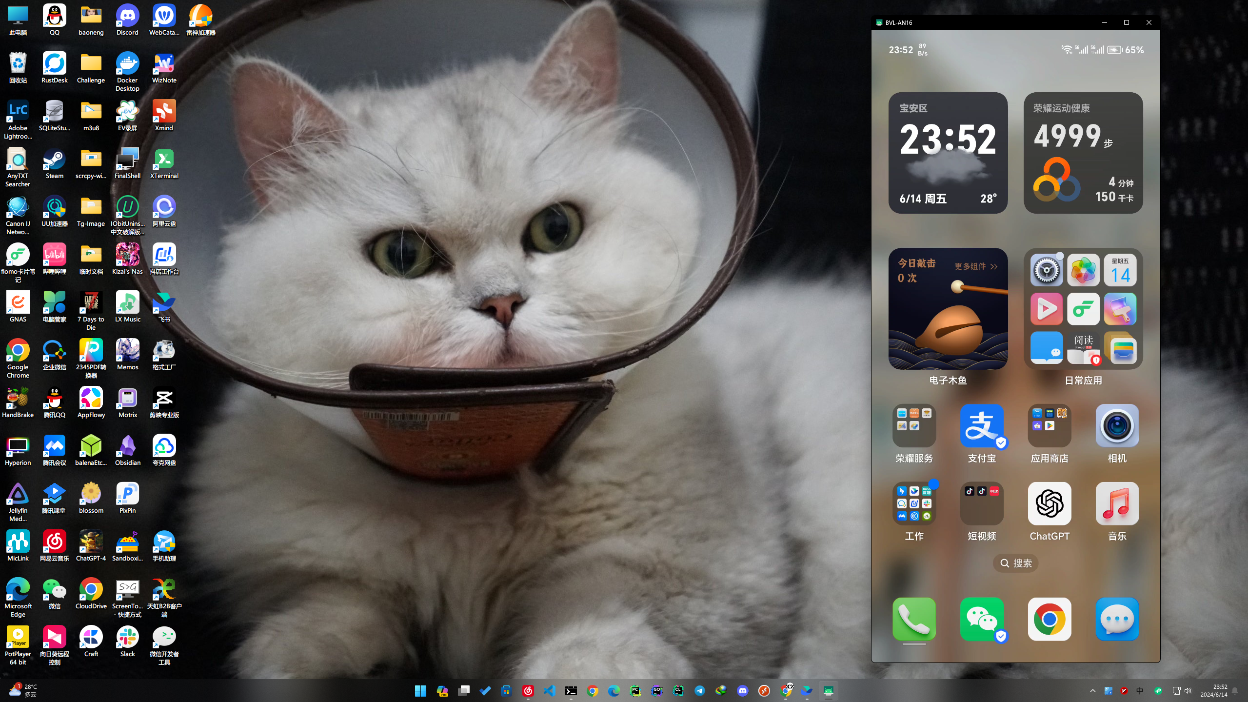 安卓开源最强电脑投屏软件-Scrcpy