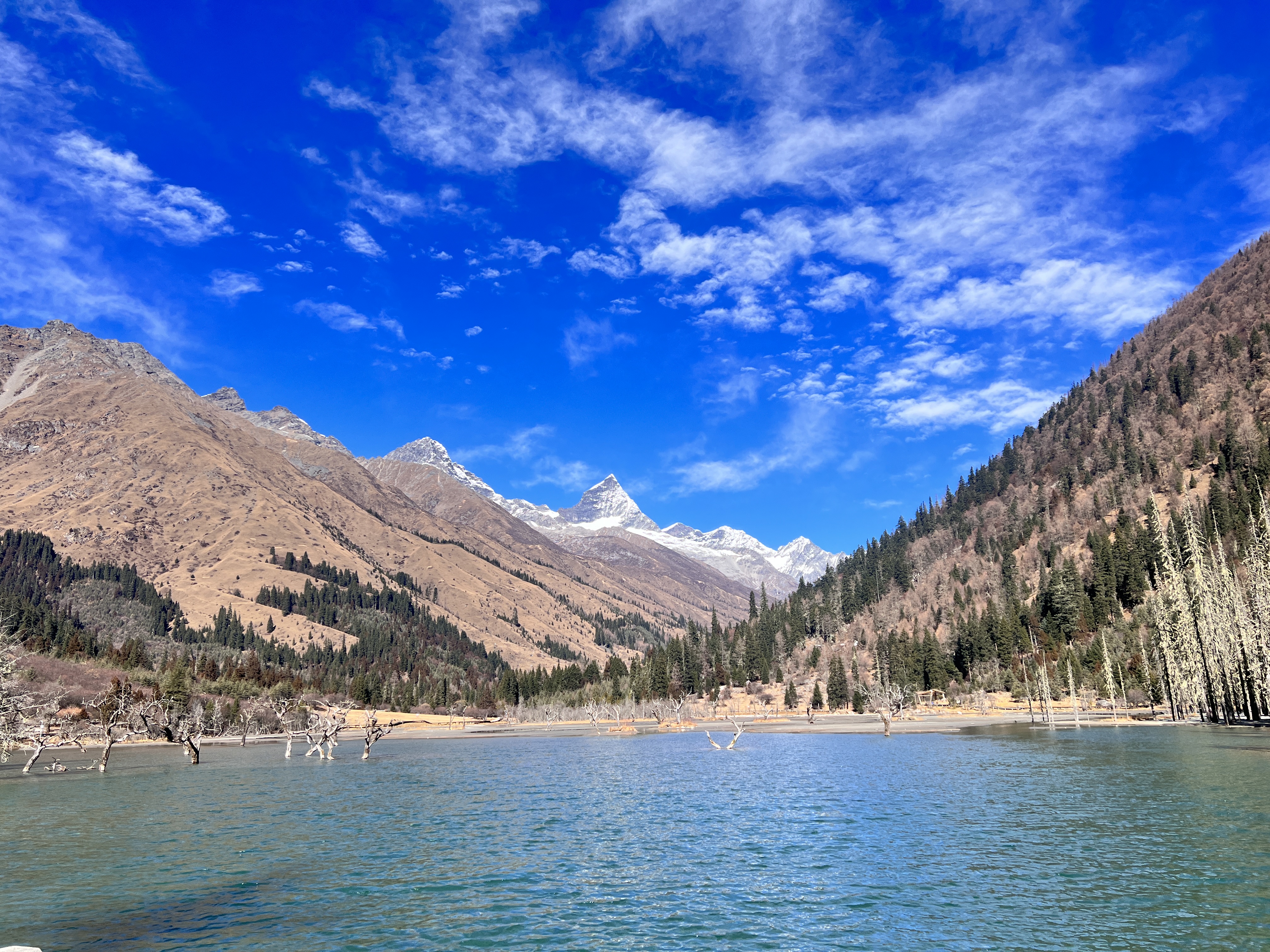 参哥一些值得参考的点